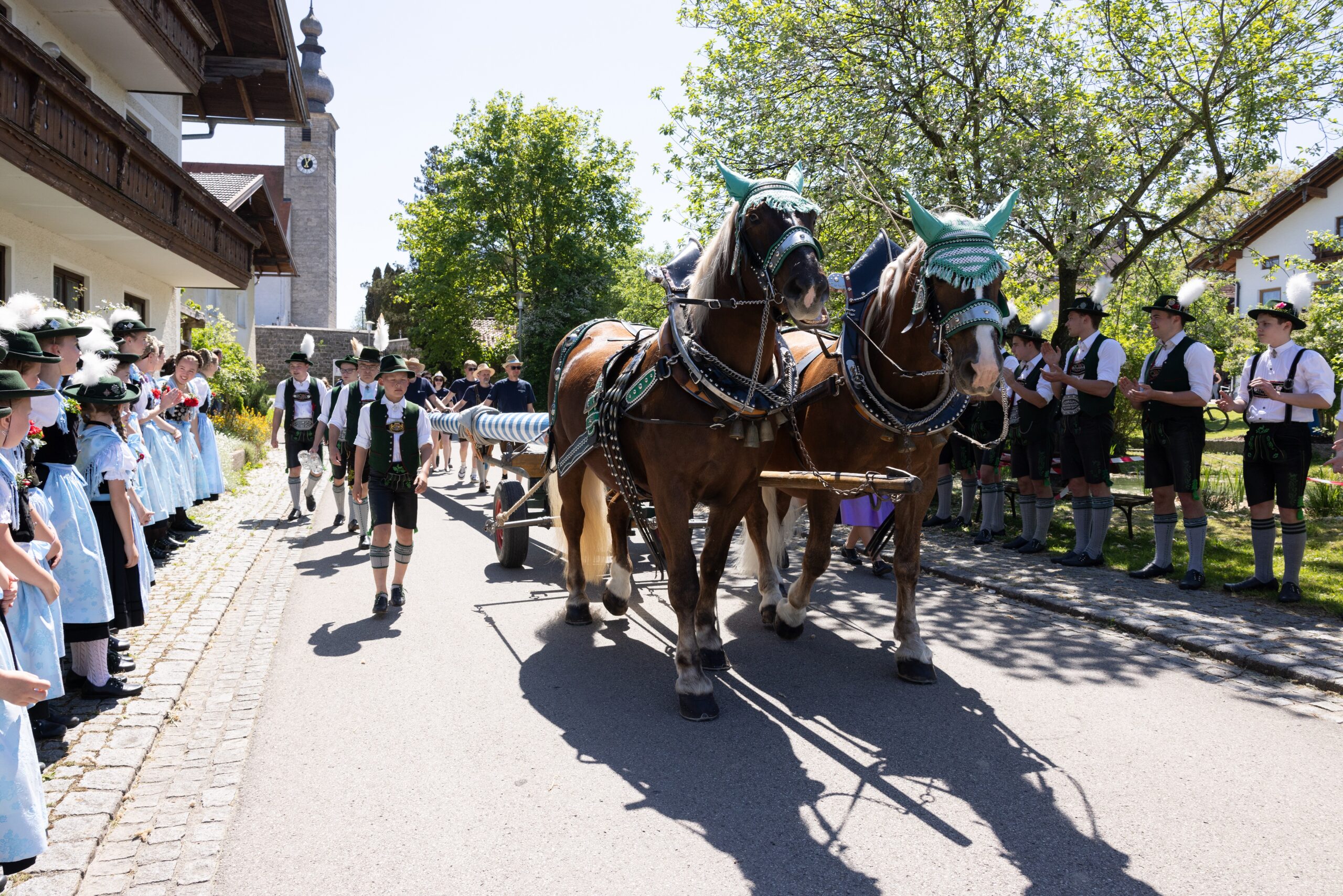 Törring_Maibaum-Aufstellen_2025_2D4A9398